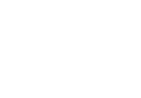 Visit Brussels Logo